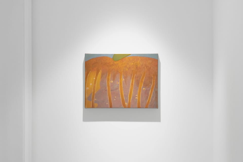 愣神儿 A Moment Elsewhere, installation view